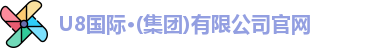 U8国际
